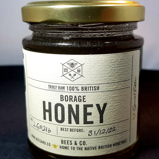Organic Black Seed Infused in Special Edition Borage Honey